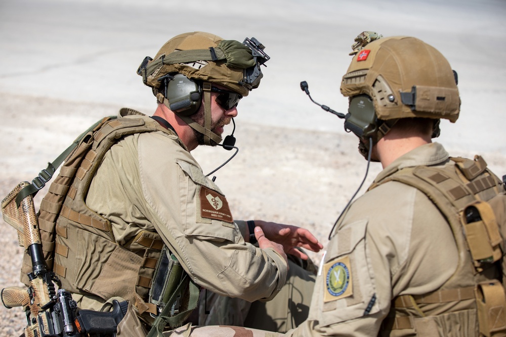 Combined Joint Task Force – Operation Inherent Resolve, Task force Reaper and Norwegian Engineer Battalion Respond to  Medical Exercise