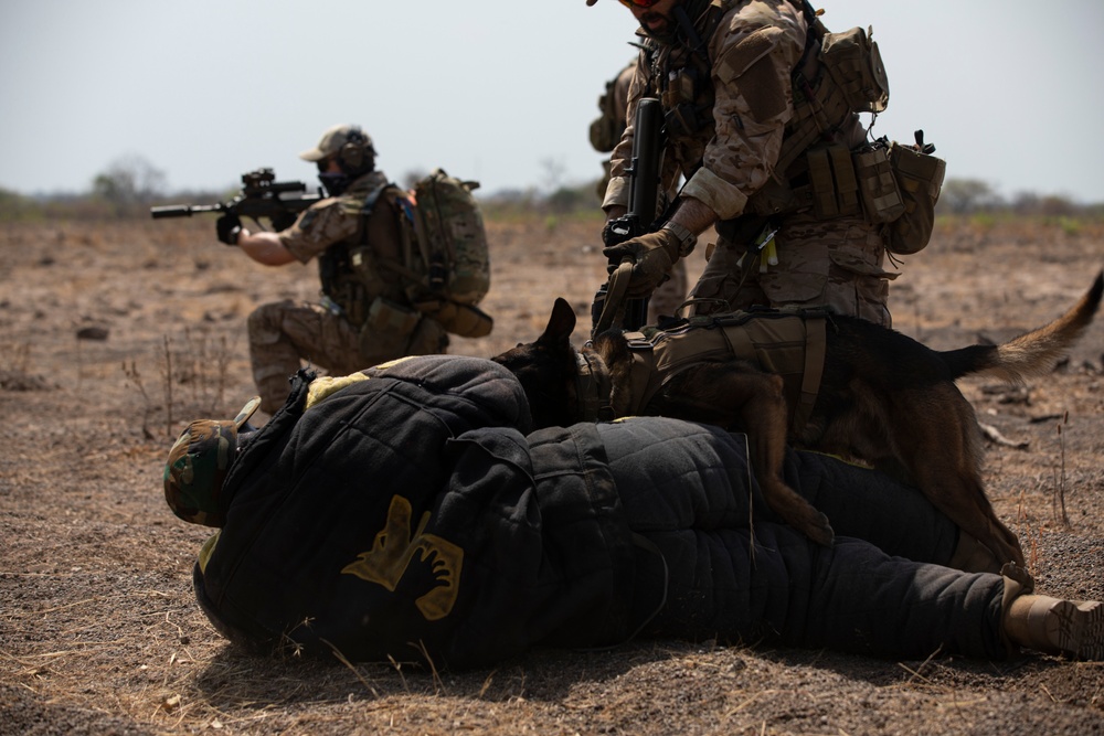 Austrian and Ghanaian soldiers conduct an objective raid