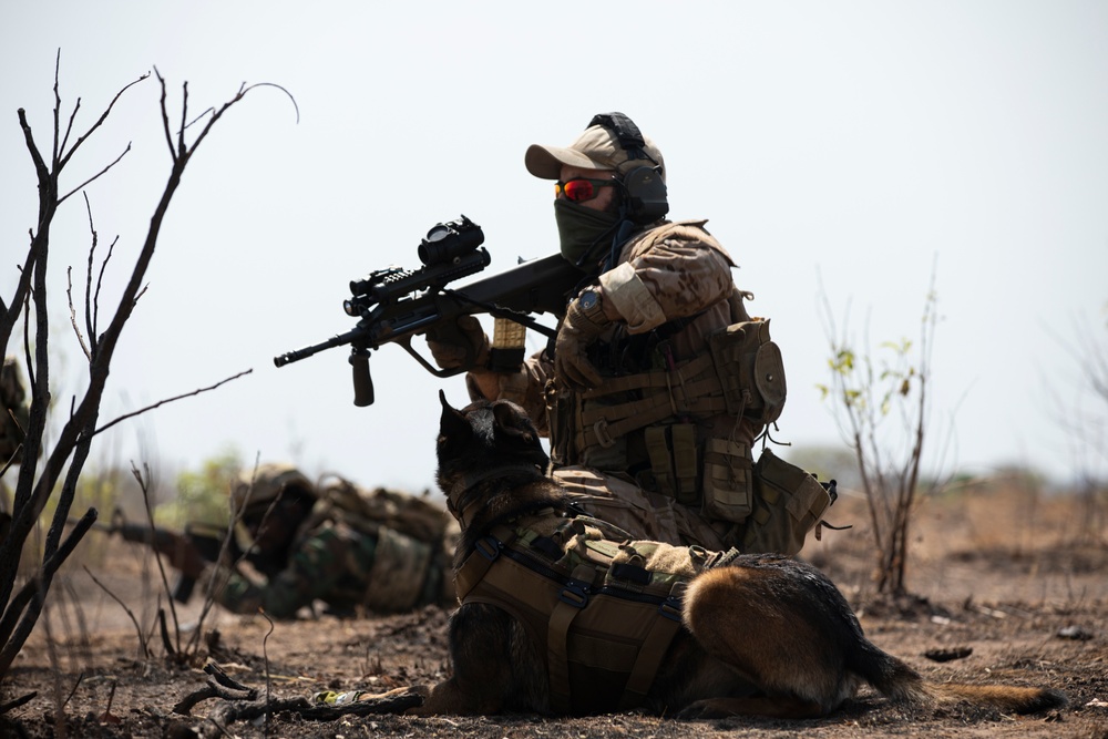 Austrian and Ghanaian soldiers conduct an objective raid