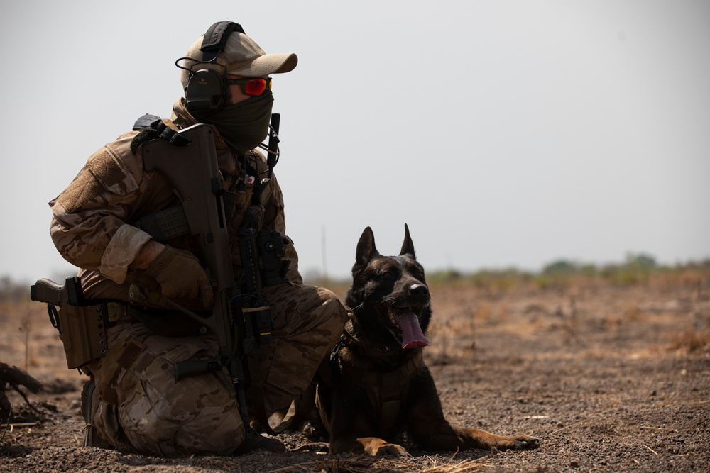 Austrian and Ghanaian soldiers conduct an objective raid