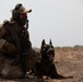 Austrian and Ghanaian soldiers conduct an objective raid