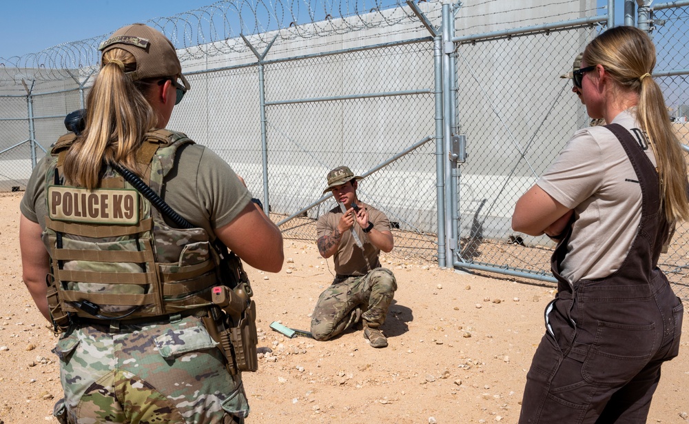378th ESFS MWDs train with EOD