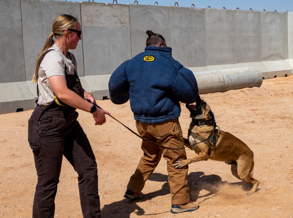 378th ESFS MWDs train with EOD
