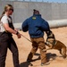 378th ESFS MWDs train with EOD