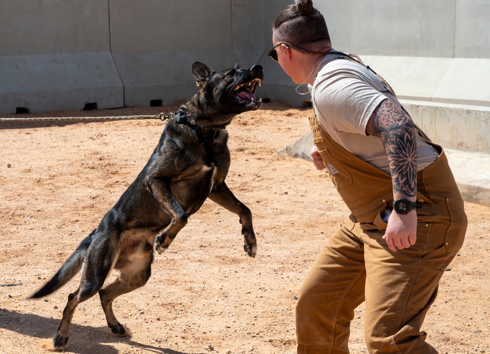378th ESFS MWDs train with EOD