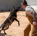378th ESFS MWDs train with EOD