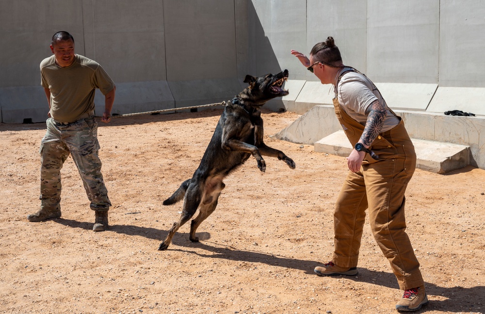 378th ESFS MWDs train with EOD