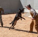 378th ESFS MWDs train with EOD