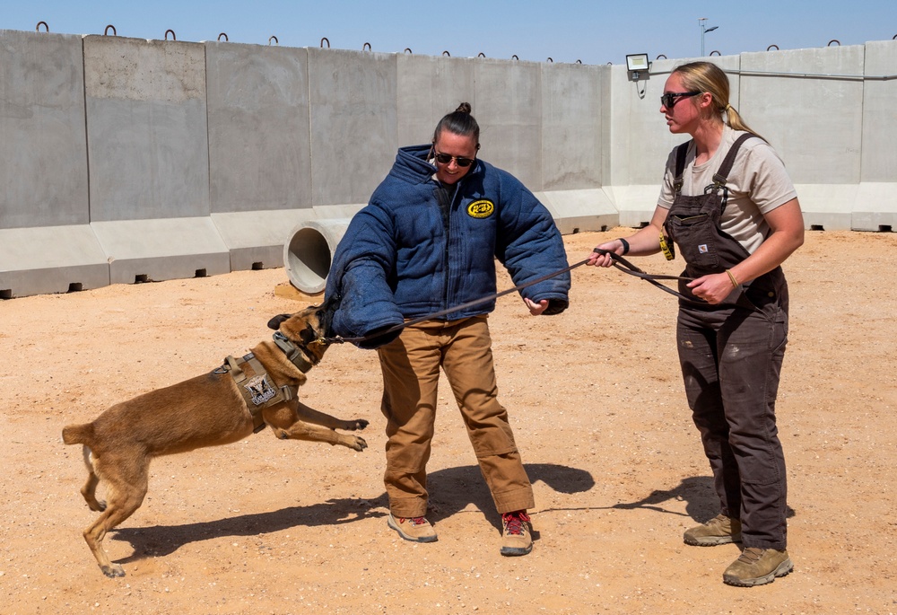378th ESFS MWDs train with EOD
