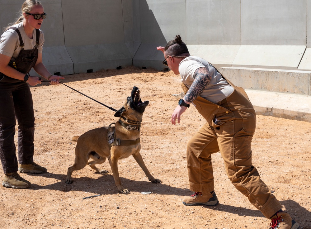 378th ESFS MWDs train with EOD