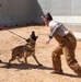 378th ESFS MWDs train with EOD
