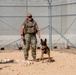378th ESFS MWDs train with EOD