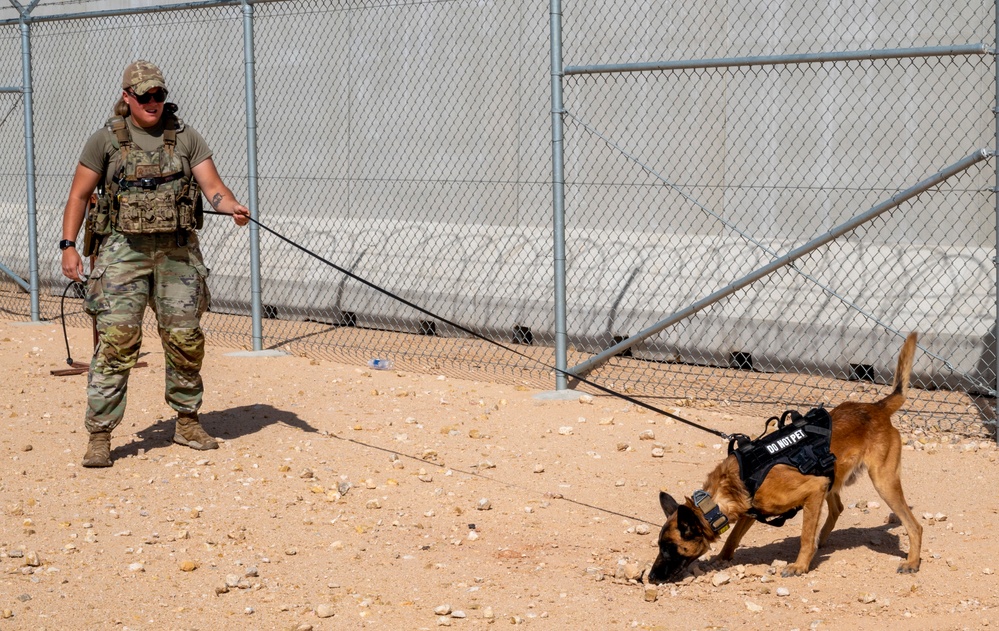 378th ESFS MWDs train with EOD
