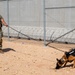 378th ESFS MWDs train with EOD