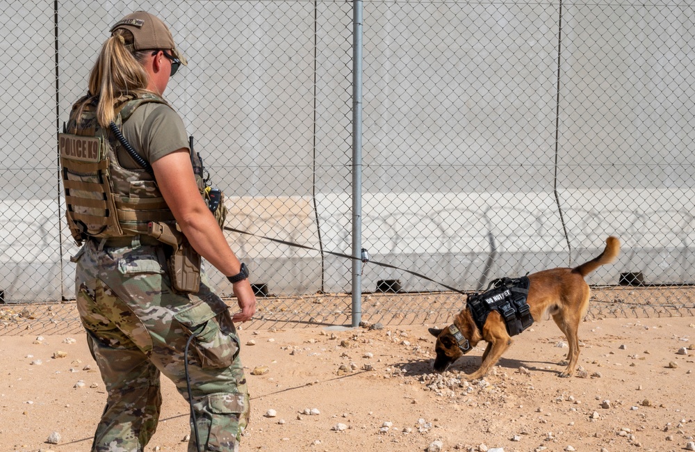 378th ESFS MWDs train with EOD