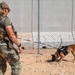 378th ESFS MWDs train with EOD