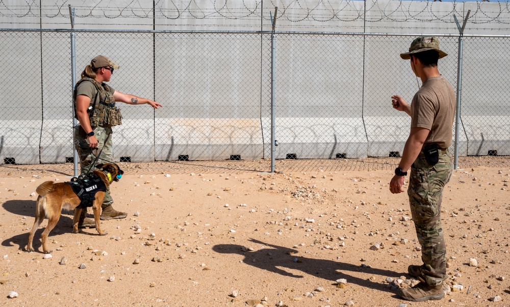 378th ESFS MWDs train with EOD