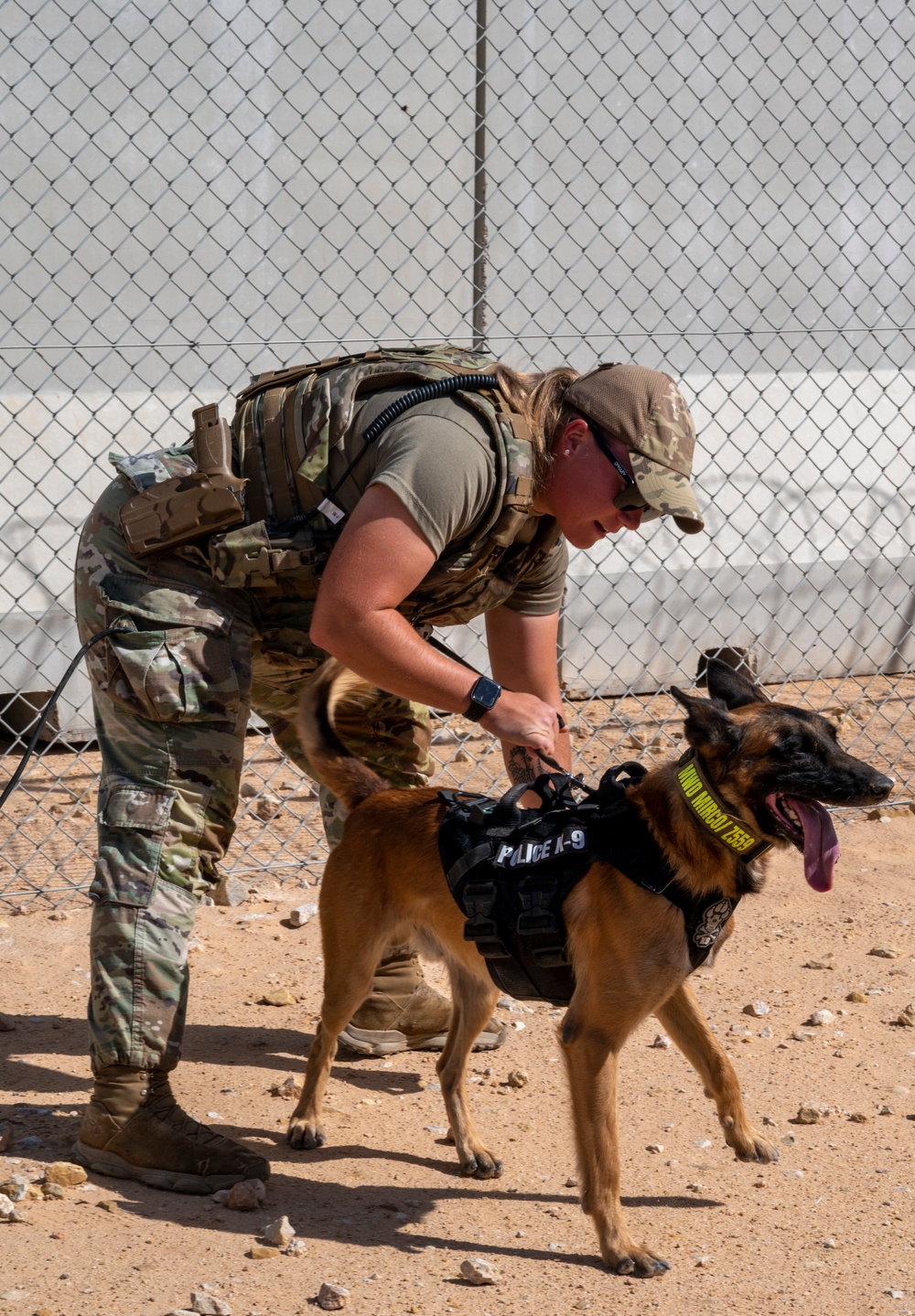 378th ESFS MWDs train with EOD