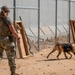 378th ESFS MWDs train with EOD