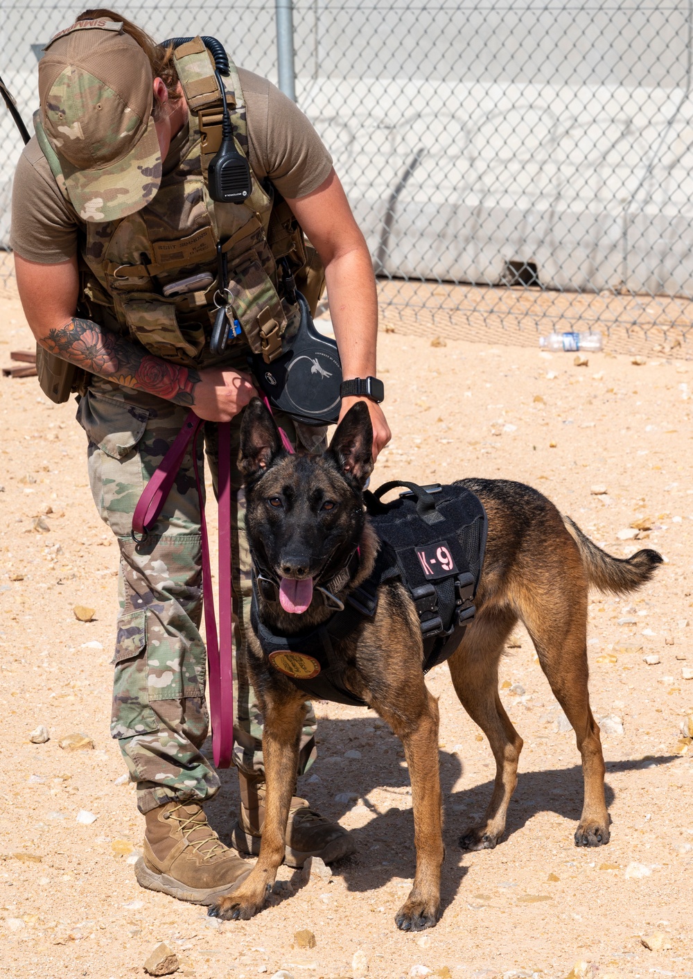 378th ESFS MWDs train with EOD