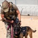 378th ESFS MWDs train with EOD