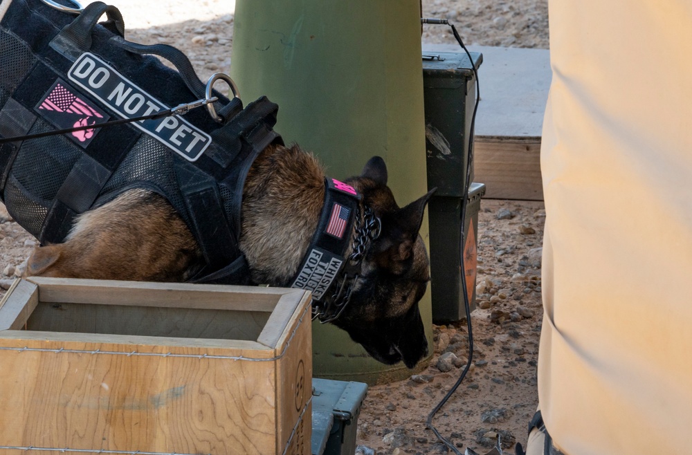 378th ESFS MWDs train with EOD