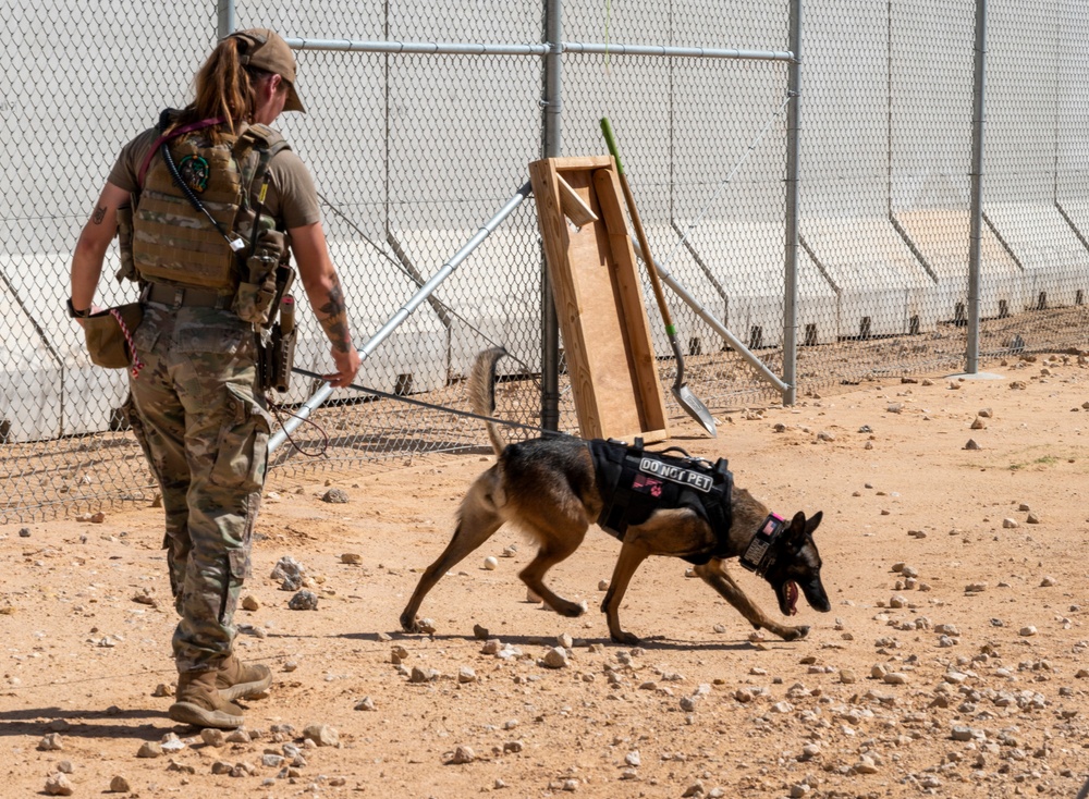 378th ESFS MWDs train with EOD