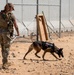 378th ESFS MWDs train with EOD