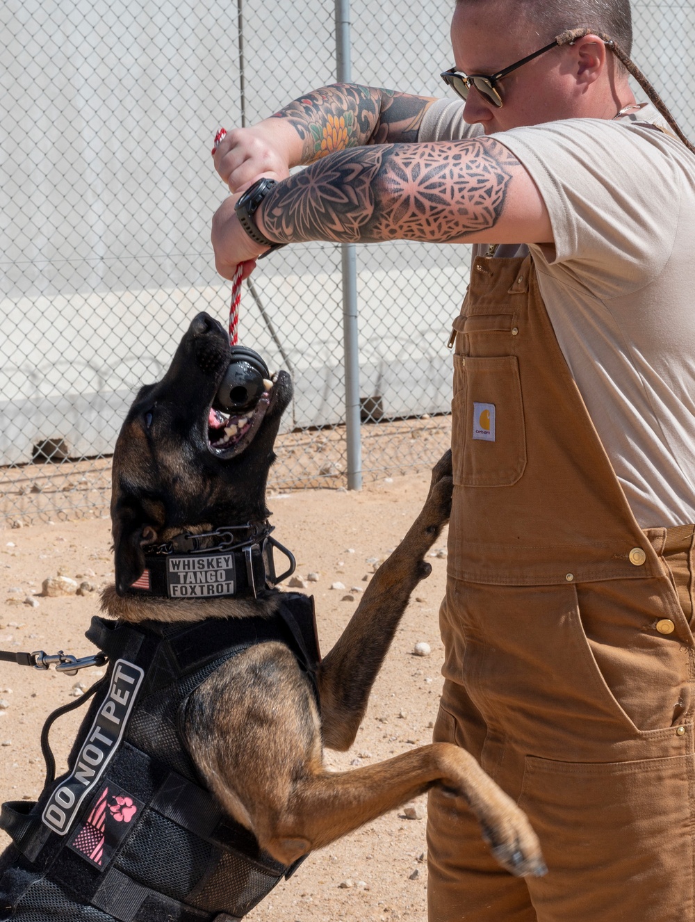 378th ESFS MWDs train with EOD