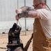 378th ESFS MWDs train with EOD