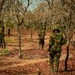 Ghana Army conduct Small Unit Tactics training