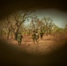 Ghana Army conduct Small Unit Tactics training