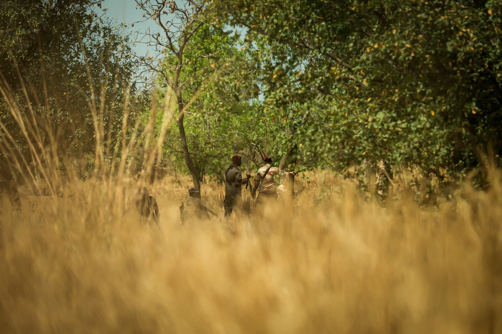 Mauritanian Armed Forces conduct Small Unit Tactics training