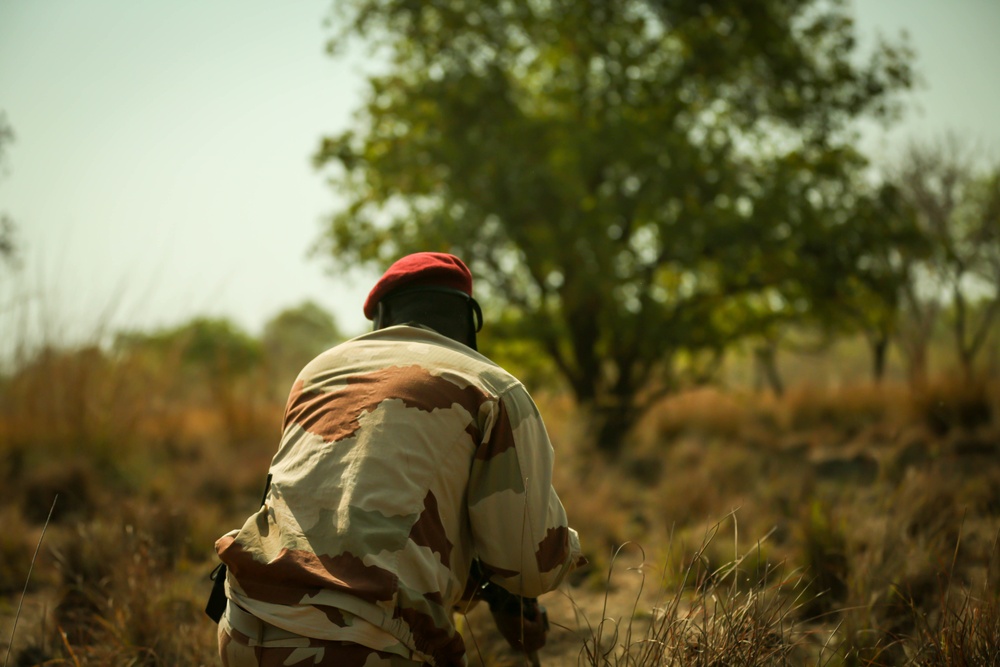 Mauritanian Armed Forces conduct Small Unit Tactics training