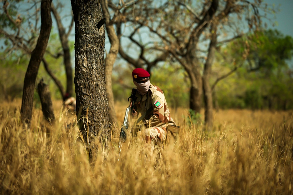 Mauritanian Armed Forces conduct Small Unit Tactics training