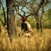 Mauritanian Armed Forces conduct Small Unit Tactics training