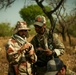 Mauritanian Armed Forces conduct Small Unit Tactics training