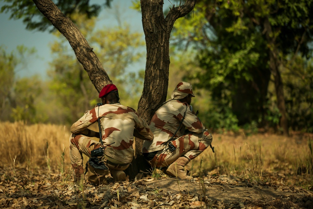 Mauritanian Armed Forces conduct Small Unit Tactics training