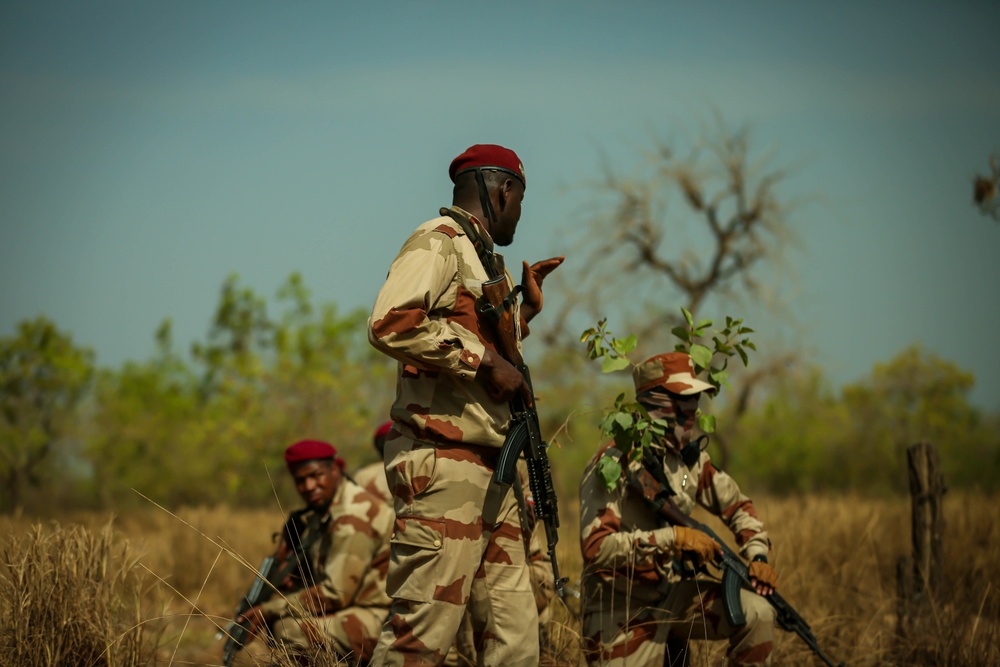 Mauritanian Armed Forces conduct Small Unit Tactics training