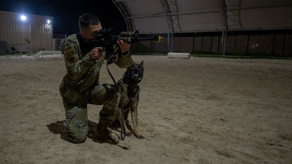 Keeping K-9 Calm: MWD Gunfire Training