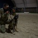 Keeping K-9 Calm: MWD Gunfire Training