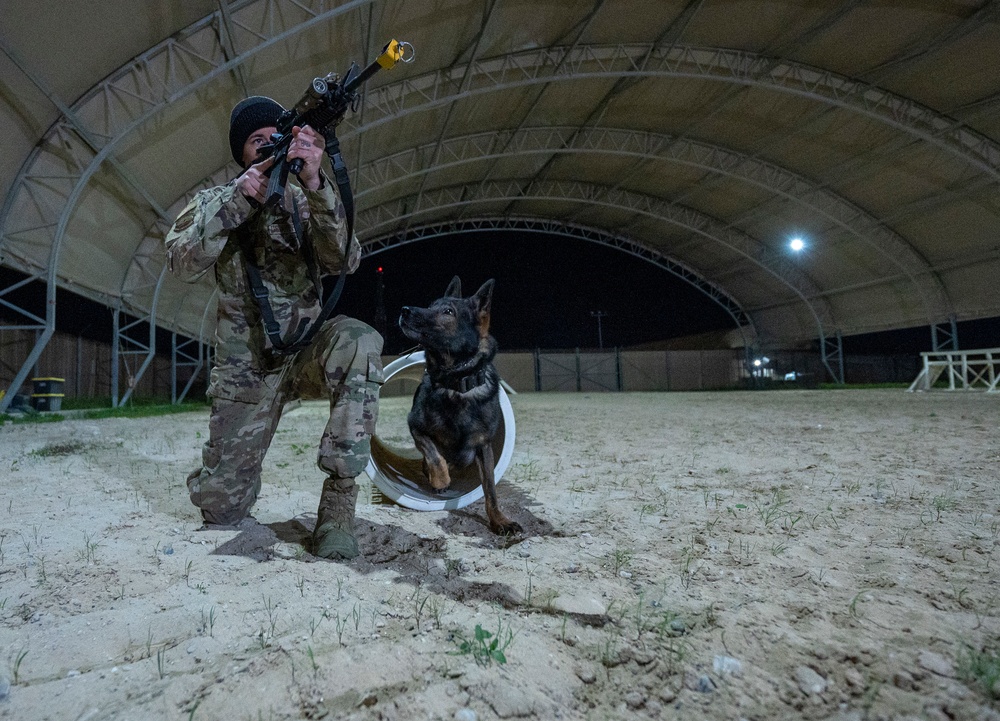 Keeping K-9 Calm: MWD Gunfire Training