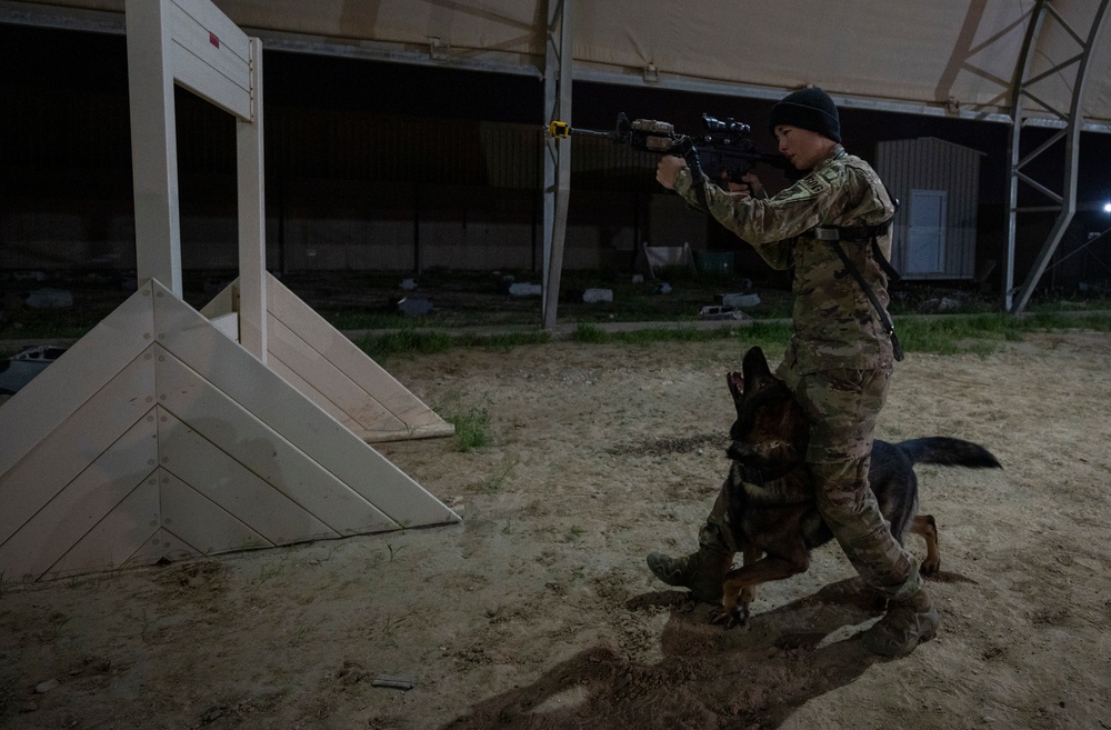 Keeping K-9 Calm: MWD Gunfire Training