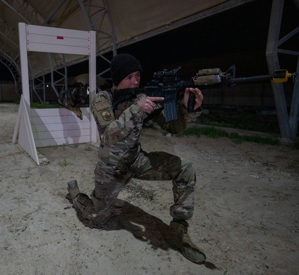 Keeping K-9 Calm: MWD Gunfire Training