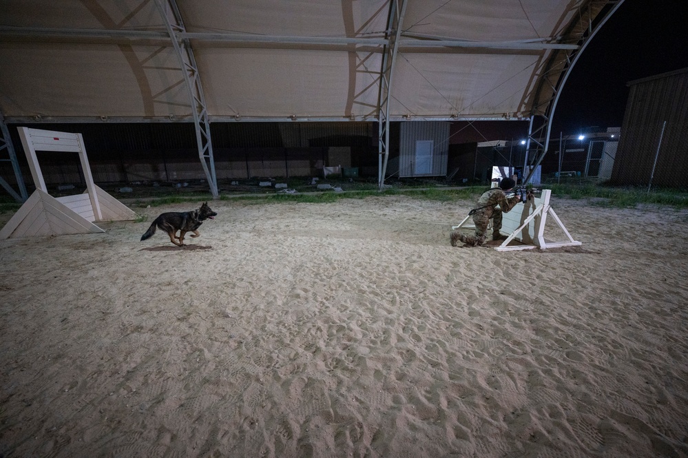 Keeping K-9 Calm: MWD Gunfire Training