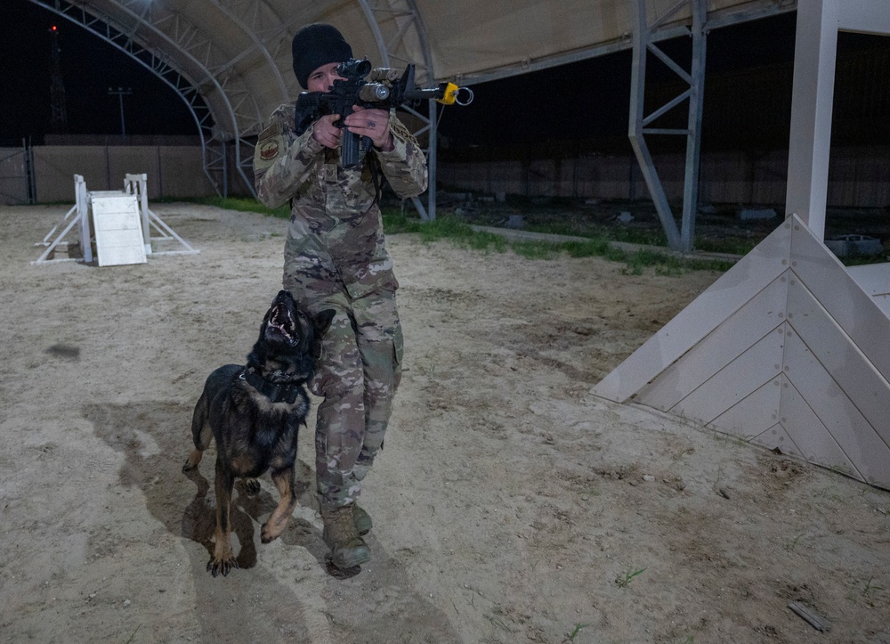 Keeping K-9 Calm: MWD Gunfire Training