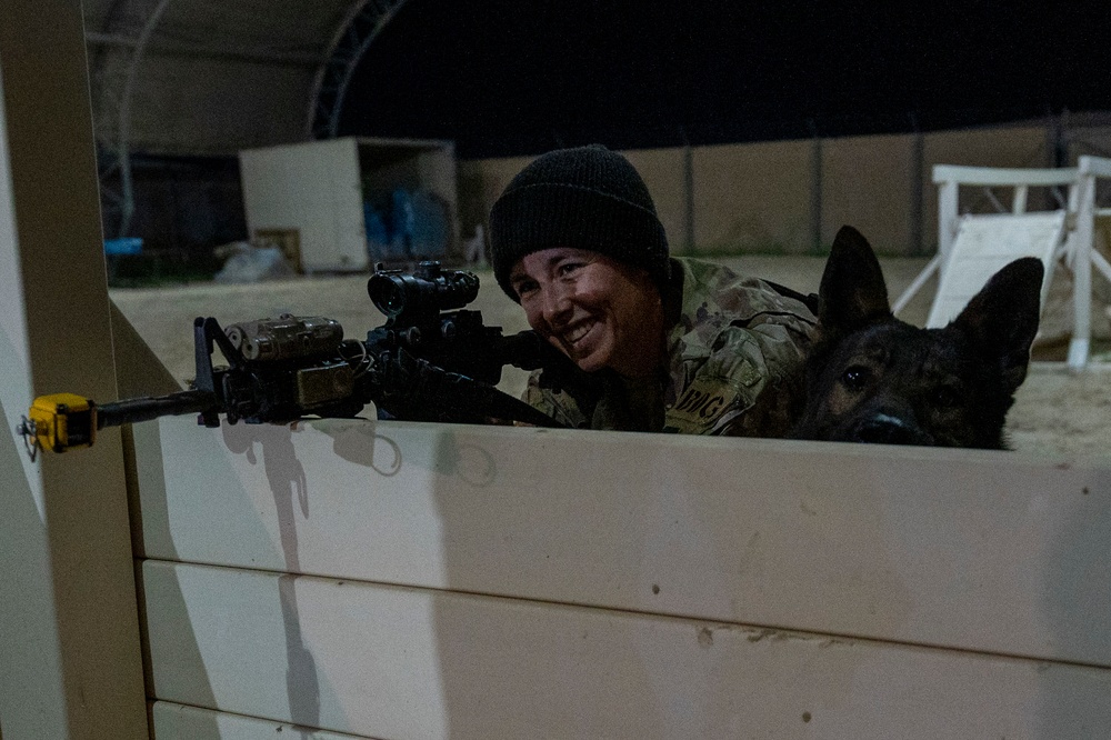 Keeping K-9 Calm: MWD Gunfire Training