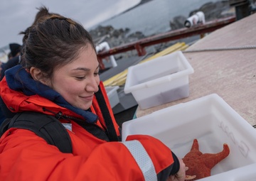 Coast Guard Cutter Polar Star (WAGB 10) visits Palmer Station for first time in 35 years