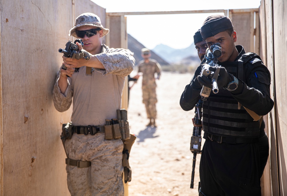 Invincible Sentry 23 CQB training