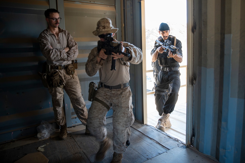 Invincible Sentry 23 CQB training